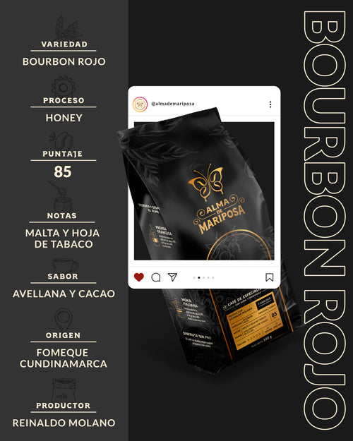 Ficha técnica café Bourbon Rojo Honey Reinaldo Molano notas avellana cacao y malta Fómeque