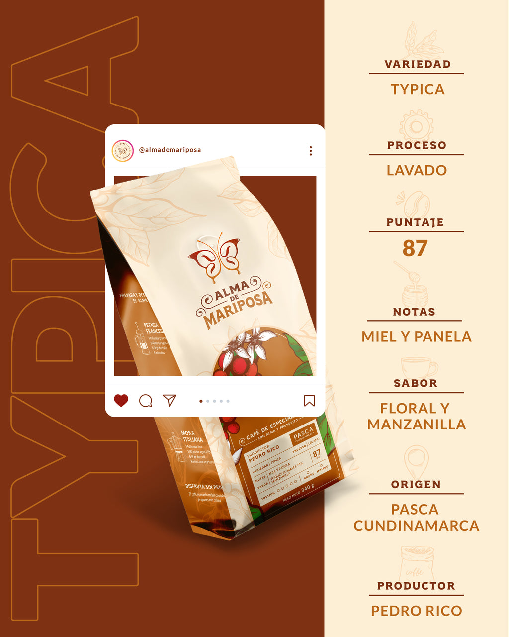 Ficha técnica café Typica Lavado Pedro Rico notas miel panela y manzanilla Pasca Cundinamarca