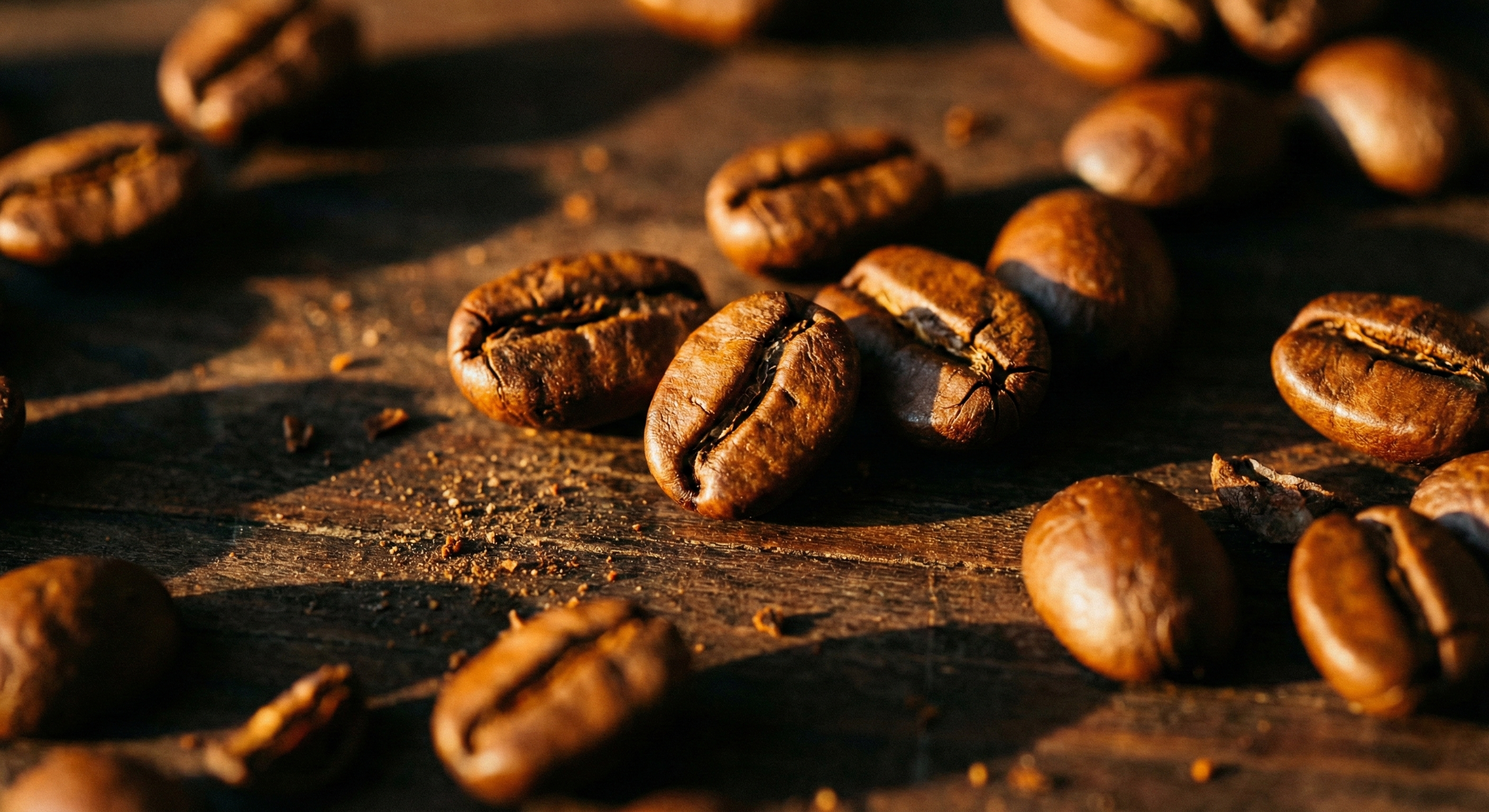 Primer plano granos de café tostado de especialidad textura y calidad Alma de Mariposa