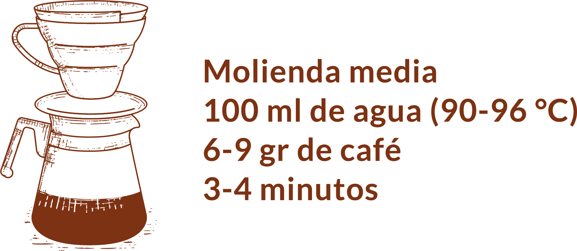Guía receta preparación café V60 molienda media 100ml agua y 6-9g café