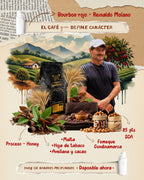 Infografía café Bourbon Rojo Honey productor Reinaldo Molano notas malta hoja de tabaco y avellana Fómeque Cundinamarca