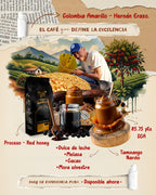 Infografía café Colombia Amarillo Red Honey Hernán Erazo notas dulce de leche mora y melaza Taminango Nariño