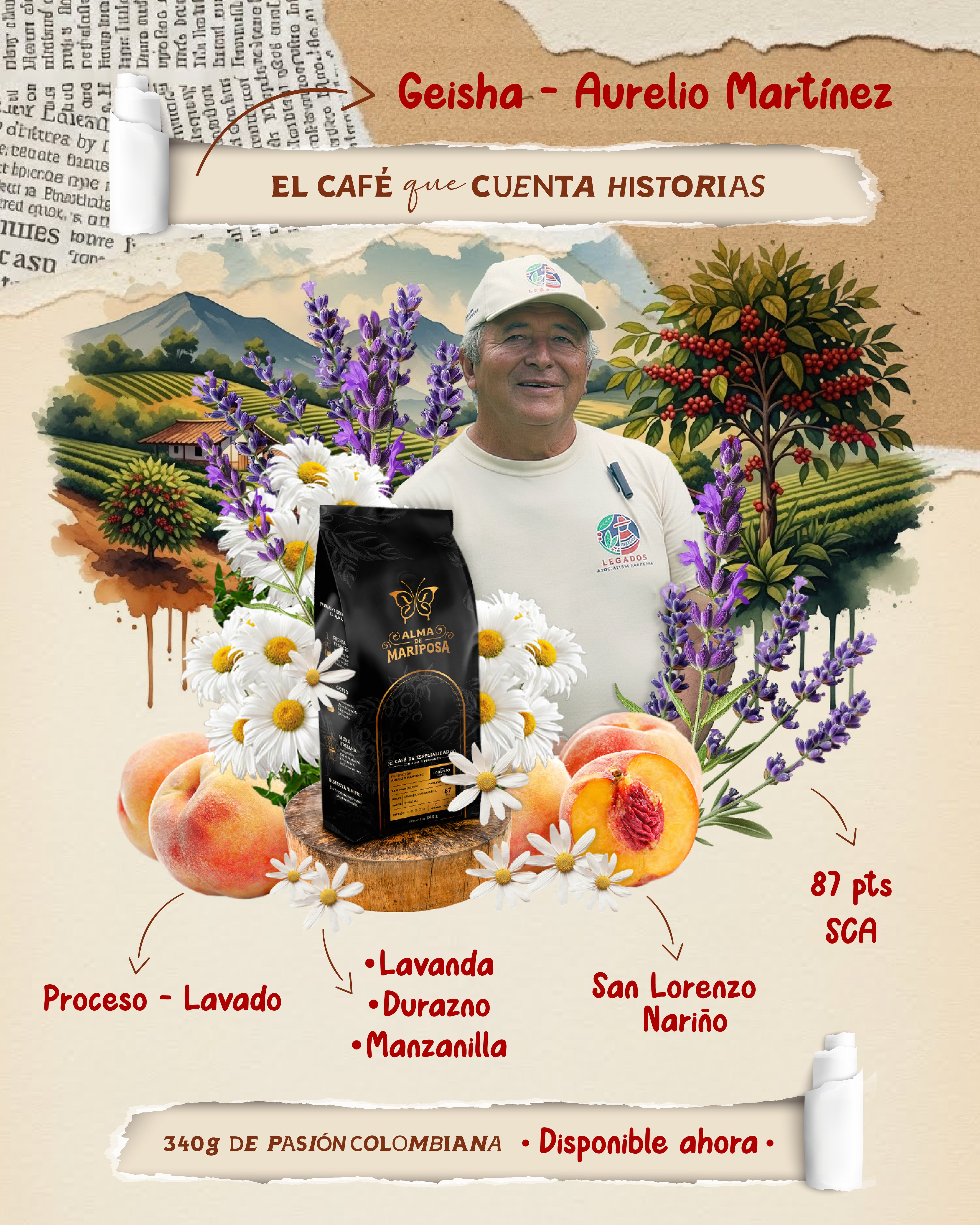 Infografía café Geisha Aurelio Martínez notas lavanda durazno y manzanilla San Lorenzo Nariño