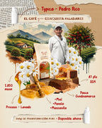 Infografía café Typica Pedro Rico con notas de miel panela y manzanilla Pasca Cundinamarca
